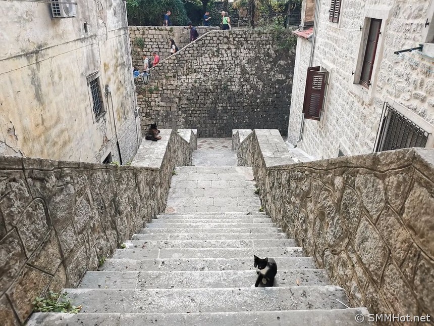Лестница котов Старый город Котора